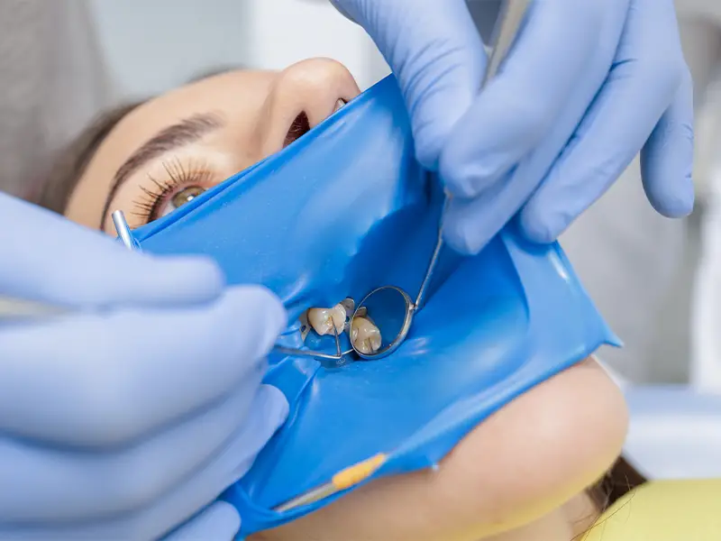 Pelagalli - Conservativa